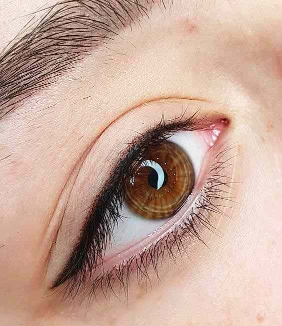 Lotus Sağlık Güzellik